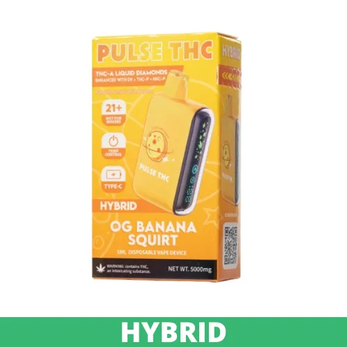 OG Banana Squirt